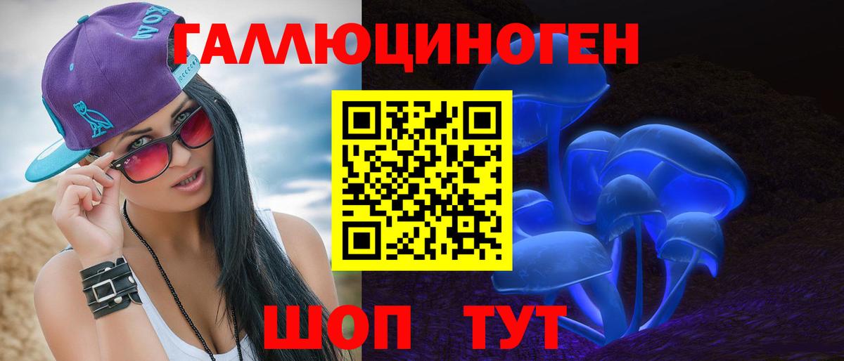Чайковский  Псилоцибиновые грибы Psilocybe  Вход с VPN 