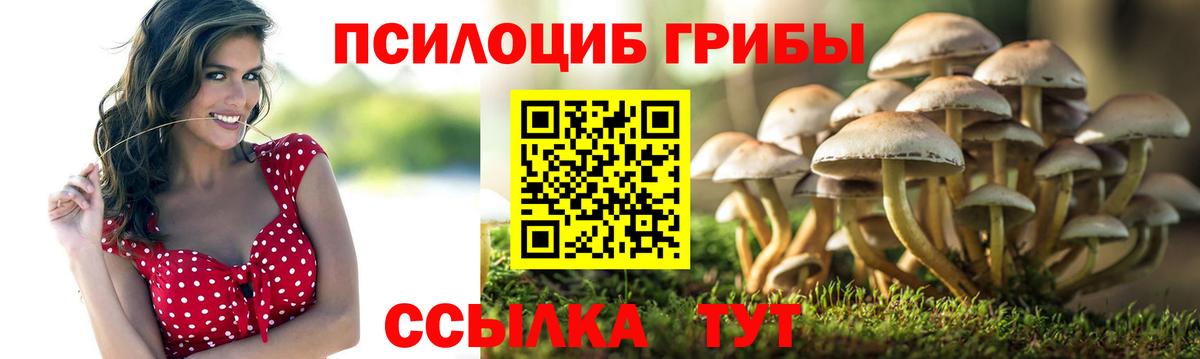 Галлюциногенные грибы Magic Shrooms Чайковский